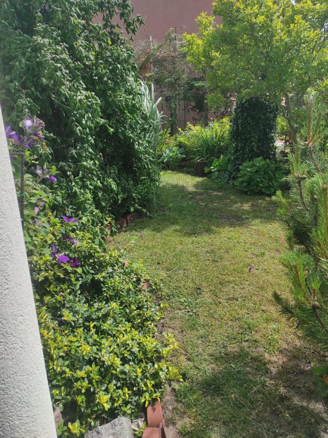 Pokoje Goscinne Cuma Leba Bagian luar foto